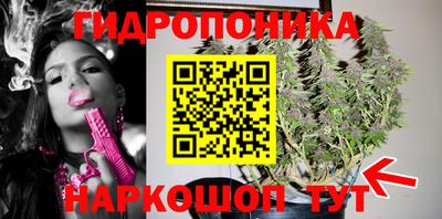 ALPHA PVP Пугачёв