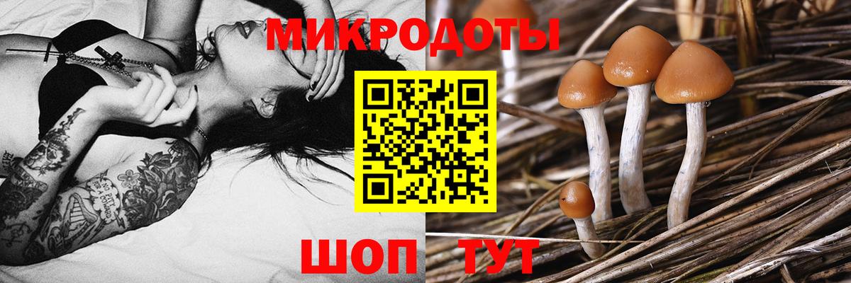 Галлюциногенные грибы мухоморы Похвистнево
